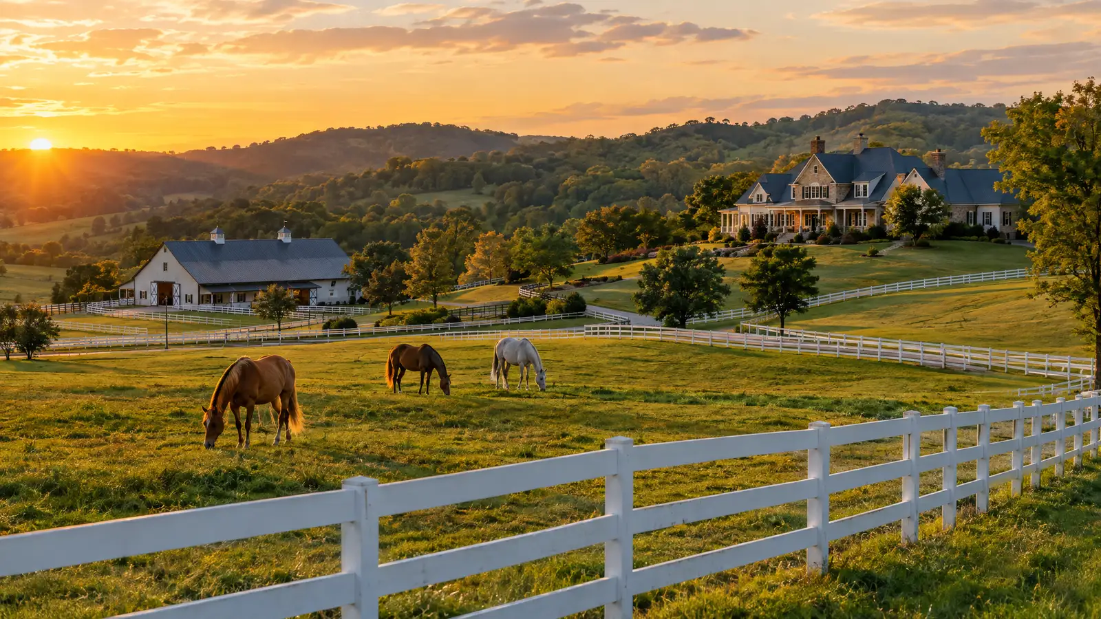A neighborhood scene from Arrington, TN