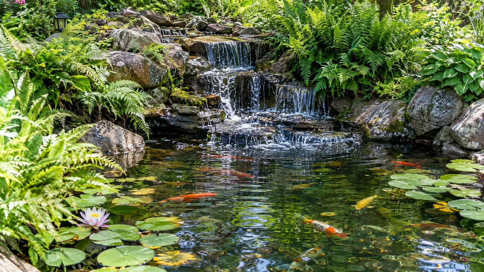 Ponds in Nashville and Middle TN from 615 Service Group partner 615 Ponds